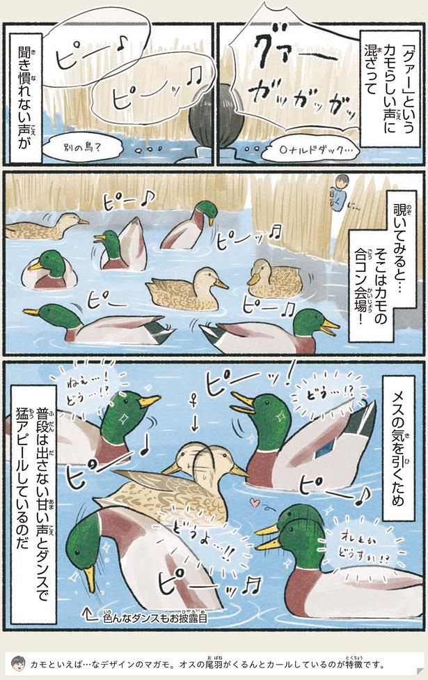 そこはカモの合コン会場！ （C）piro piro piccolo／KADOKAWA