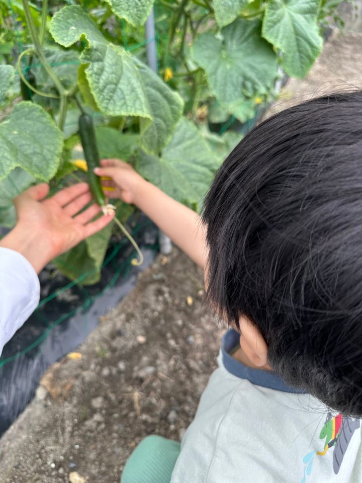 8月分ブログ