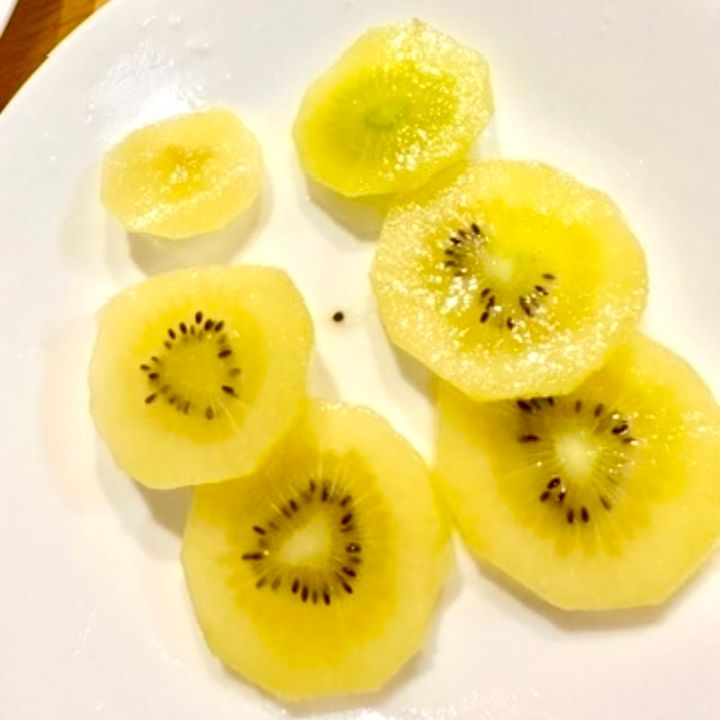 8月分ブログ