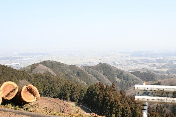 川口の木型技術がつなぐ、埼玉産の木のおもちゃ「藍染どんぐりころころ」を発売