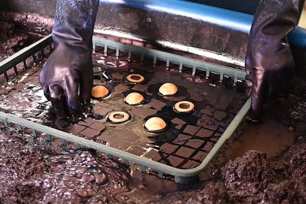川口の木型技術がつなぐ、埼玉産の木のおもちゃ「藍染どんぐりころころ」を発売