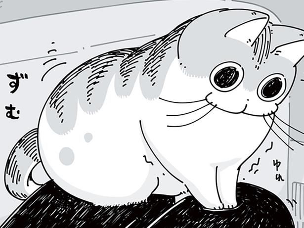 不安定な場所で （C）キュルZ／KADOKAWA