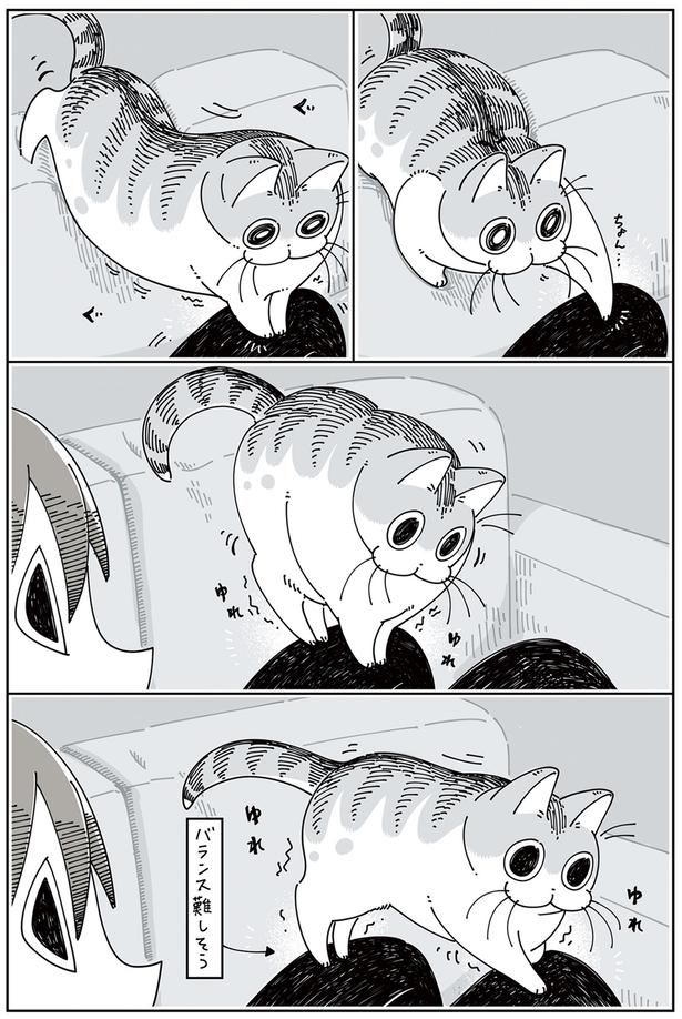 バランス難しそう （C）キュルZ／KADOKAWA