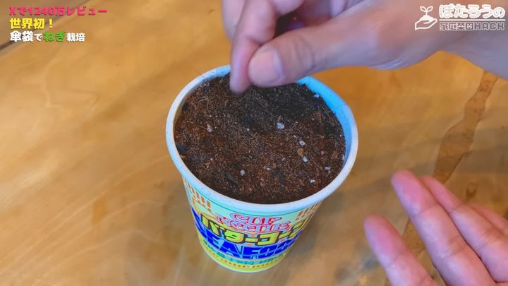 種をまいて土をかぶせる
