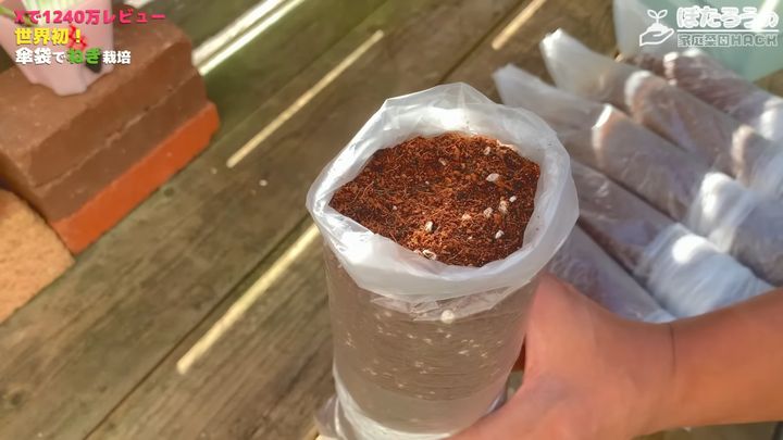 袋の上部を折り込んでウォータースペースを作る