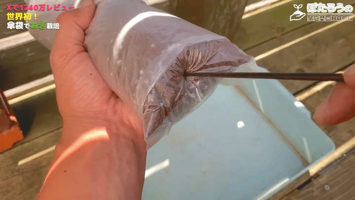 内側の袋の底に排水穴を開ける