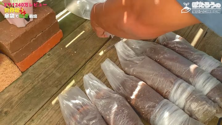 内側の袋は上部を7～8cmほど残してカットする