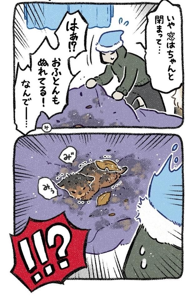 みぞれねこ①04 画像提供：(C)ヨシモフ郎