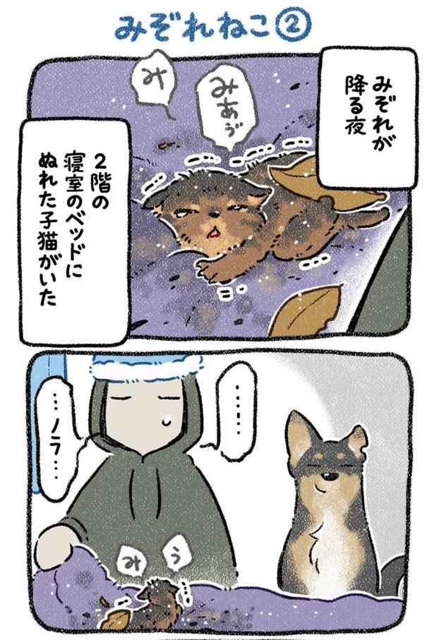みぞれねこ②01 画像提供：(C)ヨシモフ郎