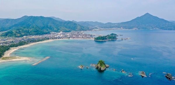 【福井県高浜町】杜仲茶の産地で地域の一次産業に貢献する「杜仲茶収穫ワーケーション」開催中
