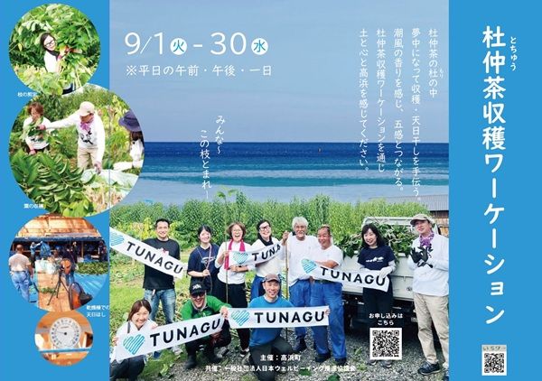 【福井県高浜町】杜仲茶の産地で地域の一次産業に貢献する「杜仲茶収穫ワーケーション」開催中