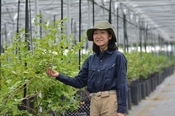 【埼玉県所沢市】太陽光発電で育てた所沢産のブドウを、くすのきホールや西武鉄道沿線各駅などで販売！