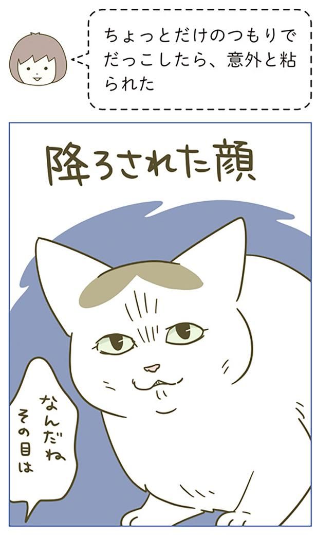なんだねその目は （C）卵山玉子／KADOKAWA