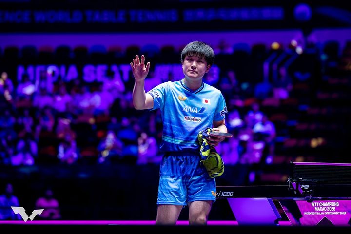 張本智和（C）WTT