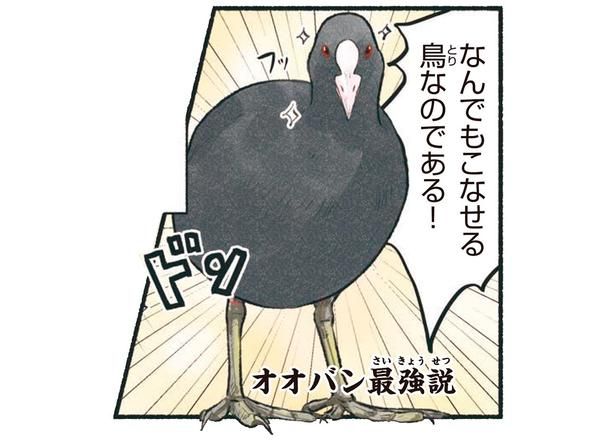 なんでもこなせる鳥なのである！ （C）piro piro piccolo／KADOKAWA