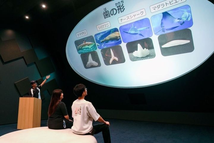 神戸須磨シーワールド「生きものトークライブ」