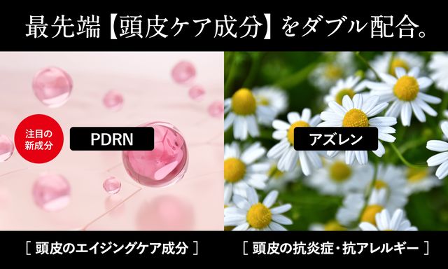 京美人3