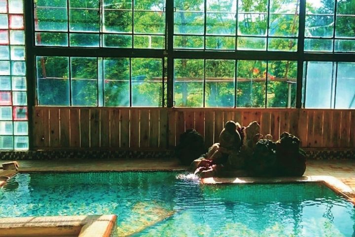 南部藩ゆかりの名湯！岩手「侍の湯 おぼない旅館」｜宿カタログ
