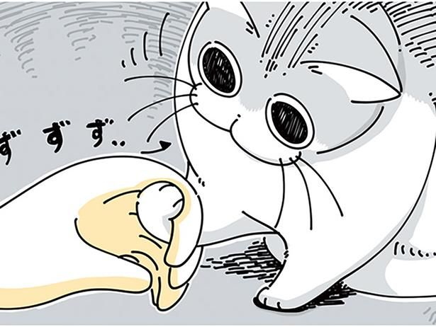 こたつから出てくる飼い主の手に （C）キュルZ／KADOKAWA