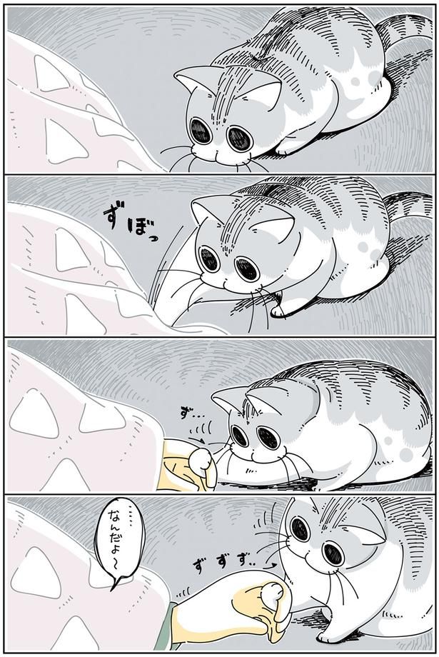 ずぼりっ （C）キュルZ／KADOKAWA