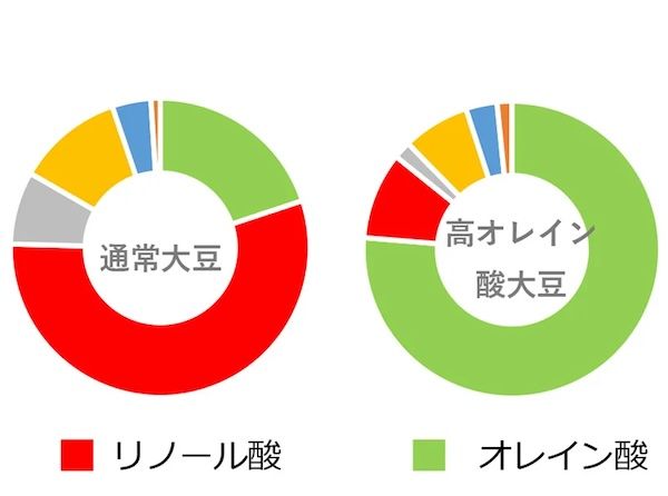 旭松食品が東北大学・宮澤陽夫名誉教授との共同研究で高野豆腐の賞味期限を2倍に延長