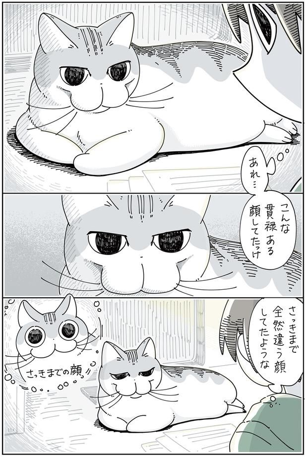 貫禄がある… （C）キュルZ／KADOKAWA
