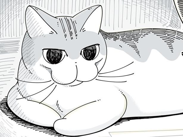 貫禄のある顔