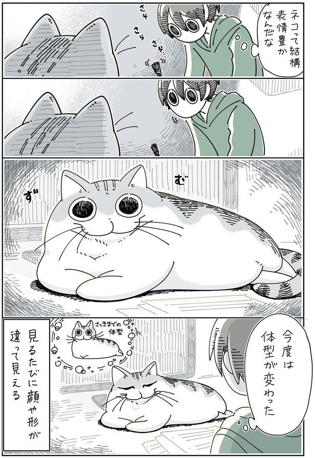 体系が… （C）キュルZ／KADOKAWA