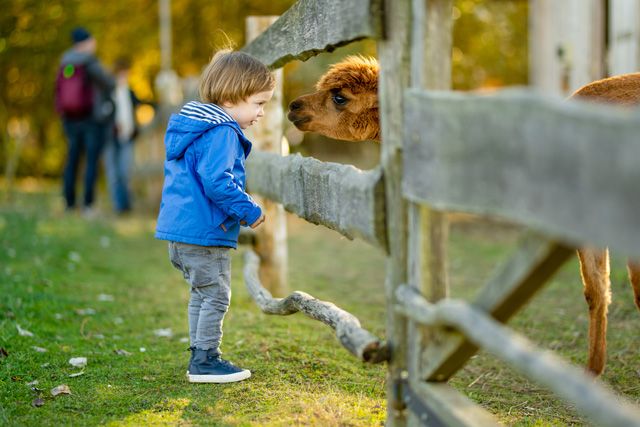 動物園 子供 観察