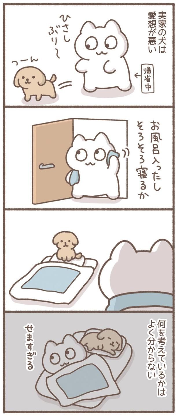 ひさしぶり～ （C）もずく／KADOKAWA