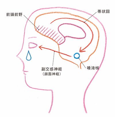 「泣いちゃうママ」必見！ ママの涙にはイイことがたくさんあるんです！の画像1