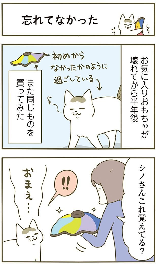 同じものを買ってみた （C）卵山玉子／KADOKAWA