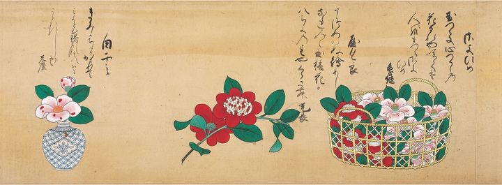 《百椿図巻》部分 江戸時代・17世紀 根津美術館