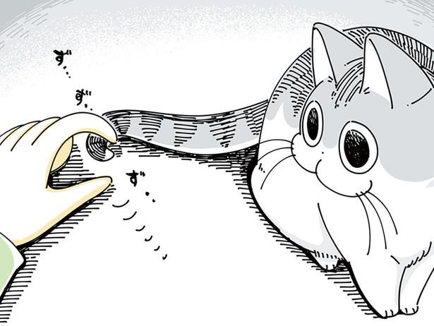 真っ直ぐにしたくなる （C）キュルZ／KADOKAWA