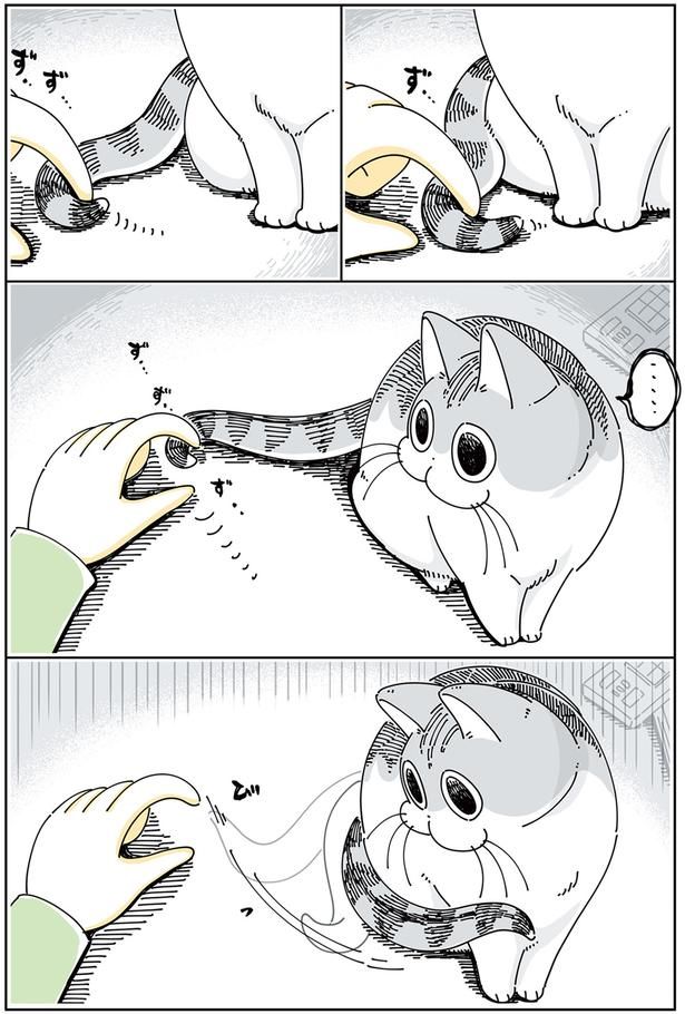 のびろ～ （C）キュルZ／KADOKAWA