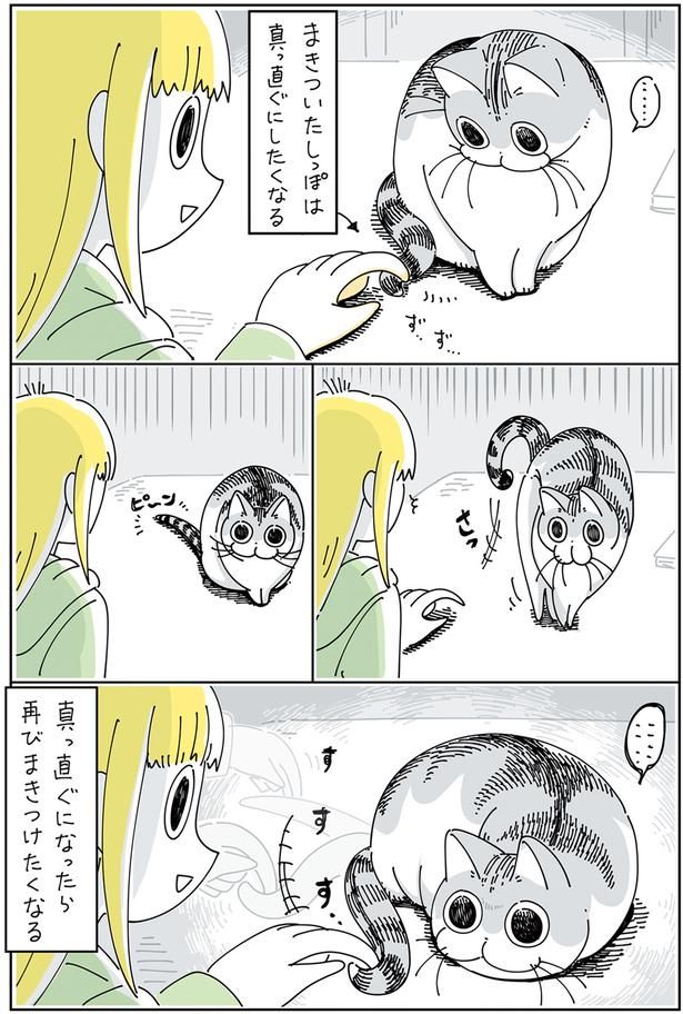 しっぽは自由自在～ （C）キュルZ／KADOKAWA