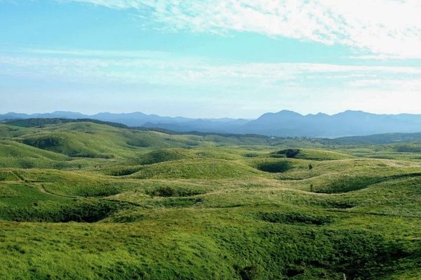 【山口県美祢市】茶菓子・茶葉・茶器の「plus KAMERIYA」が、秋吉台で野点茶会を開催！