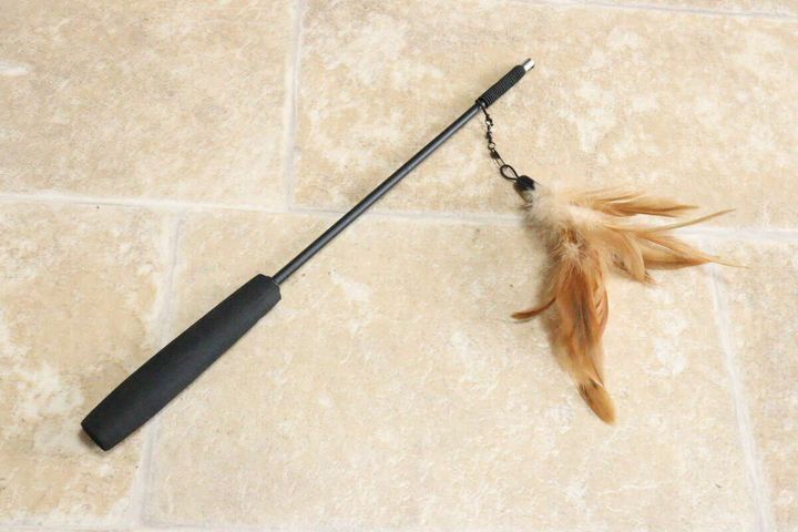 パッケージから出した状態のねこじゃらしが床に置かれている