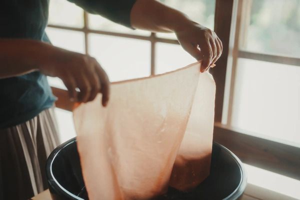 「ななつ星 in 九州」に、1泊2日の「わいたコース」登場！木糸を使った染色体験も