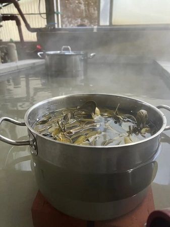 「ななつ星 in 九州」に、1泊2日の「わいたコース」登場！木糸を使った染色体験も