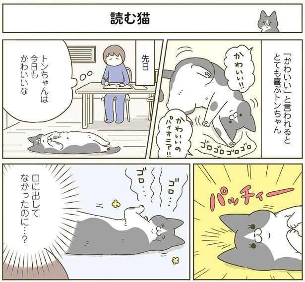 読む猫 （C）卵山玉子／KADOKAWA