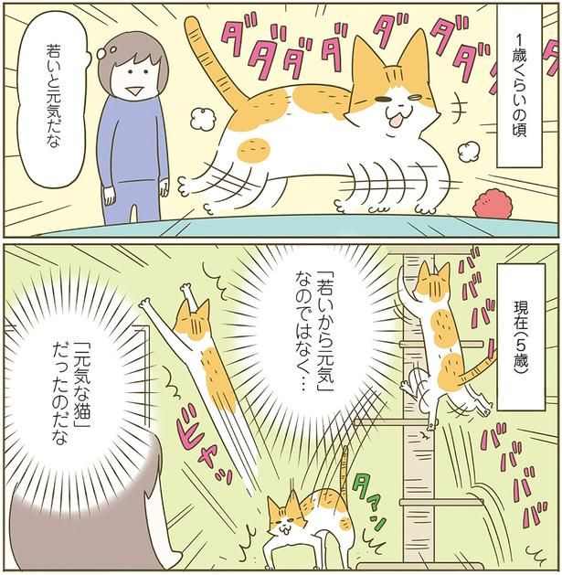 年齢は関係ない （C）卵山玉子／KADOKAWA