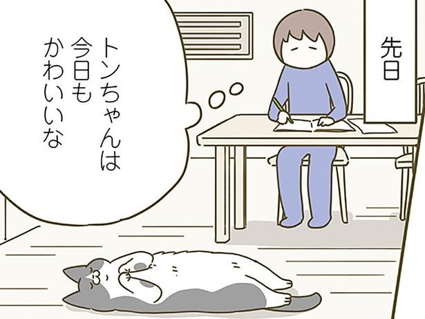 今日もかわいいな （C）卵山玉子／KADOKAWA