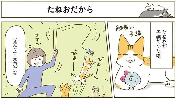 たねおだから （C）卵山玉子／KADOKAWA