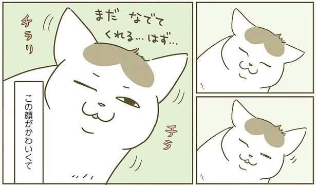 この顔がかわいくて （C）卵山玉子／KADOKAWA