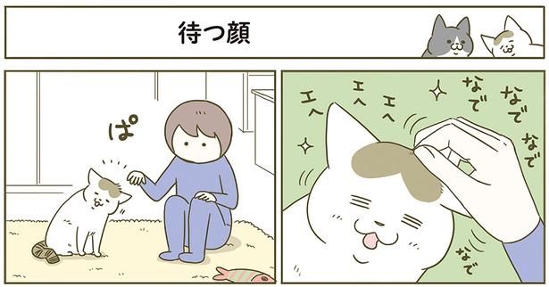 待つ猫 （C）卵山玉子／KADOKAWA