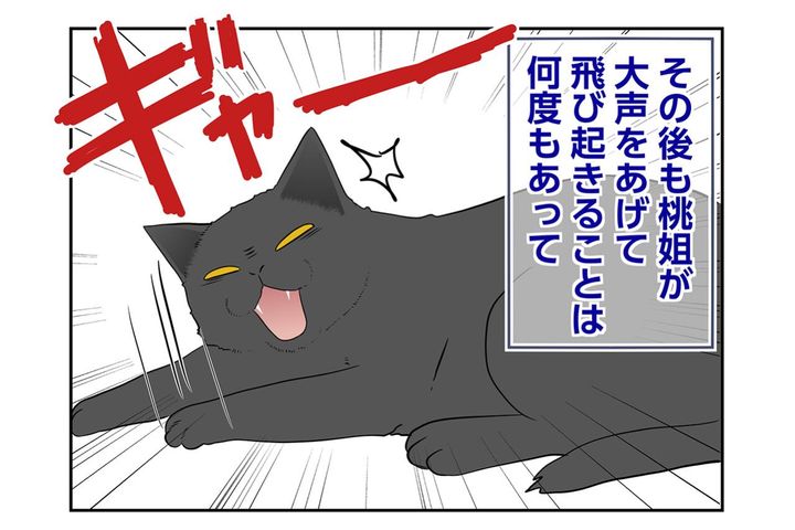 【マンガ・老猫日誌＃117】何度も飛び起きる桃姐に猛ダッシュで駆けつけて〜思い出の老猫日誌・桃姐と小論