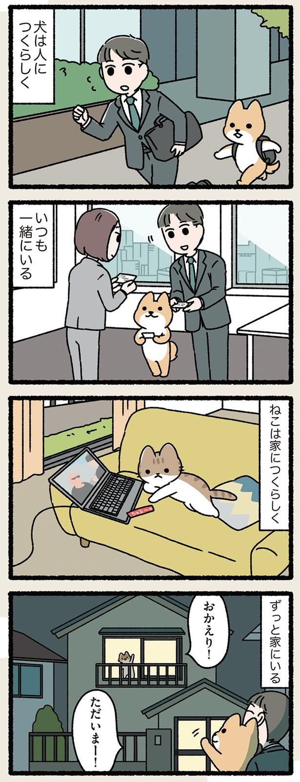 犬は人につき、 ねこは家につく （C）ぱんだにあ／KADOKAWA