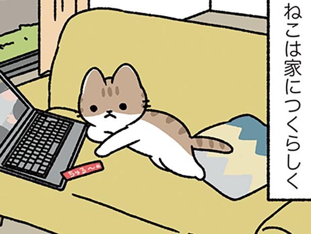 犬と猫、習性は違えど… （C）ぱんだにあ／KADOKAWA
