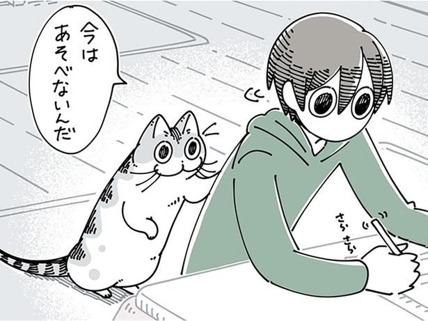 遊びたそうに甘えてくる猫に （C）キュルZ／KADOKAWA